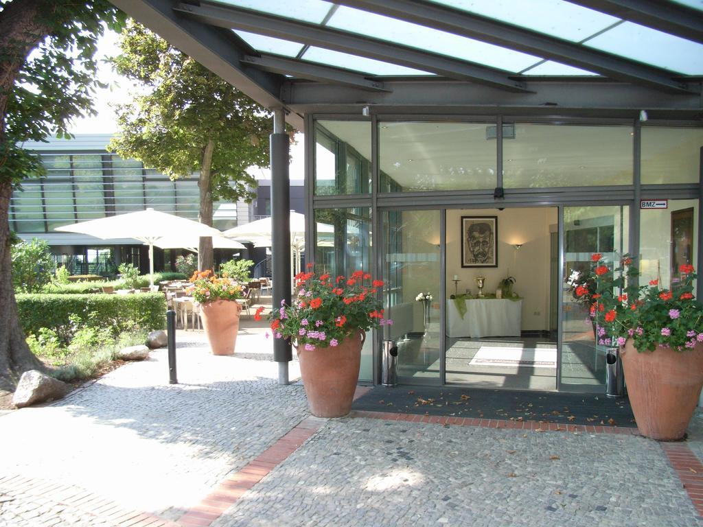 Hotel Am See Salzgitter Extérieur photo